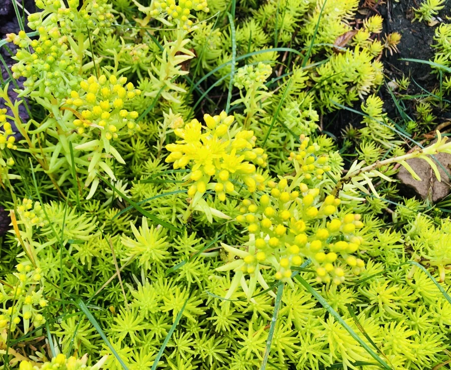 IMG_8254.jpg?type=w966