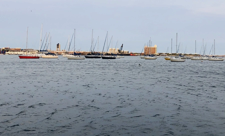 IMG_0648.jpg?type=w966