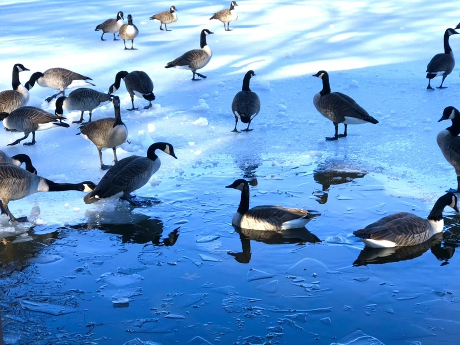 IMG_9930.jpg?type=w966