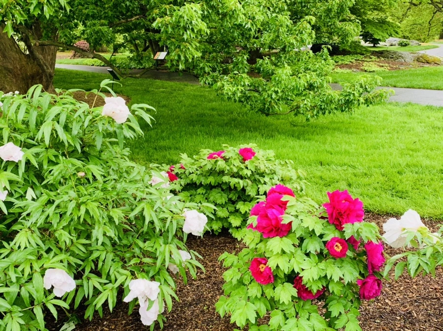 IMG_9953.jpg?type=w966