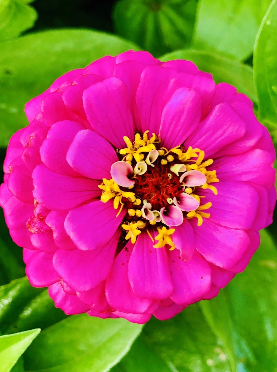 IMG_1837.jpg?type=w966