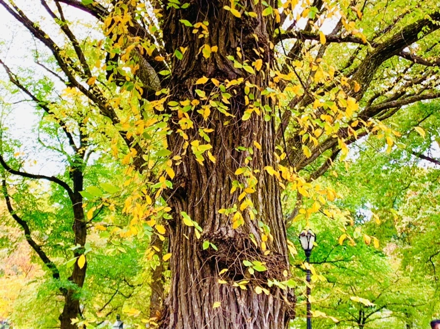 IMG_0215.jpg?type=w966