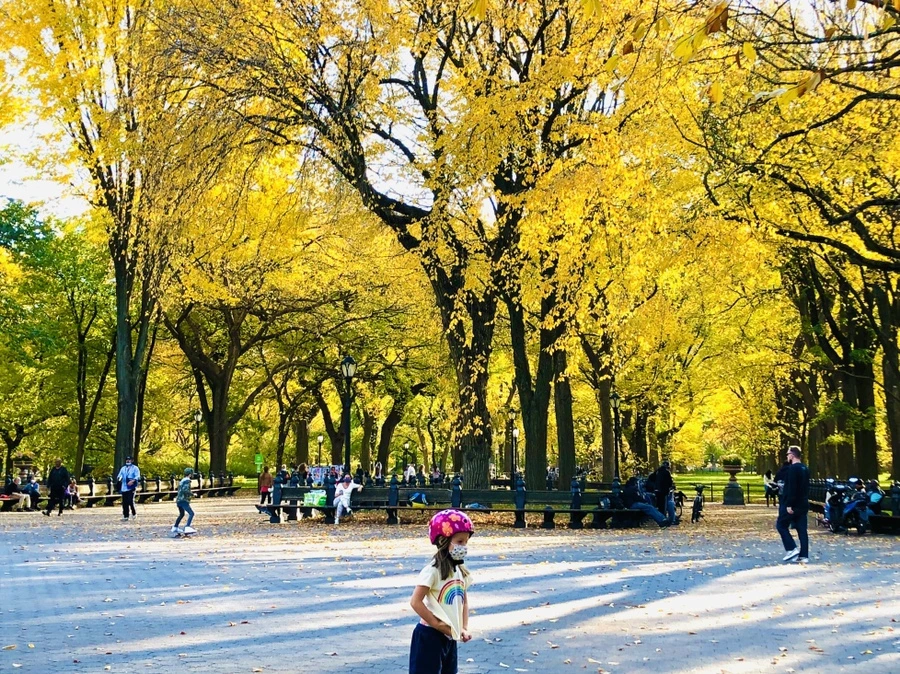 IMG_3533.jpg?type=w966