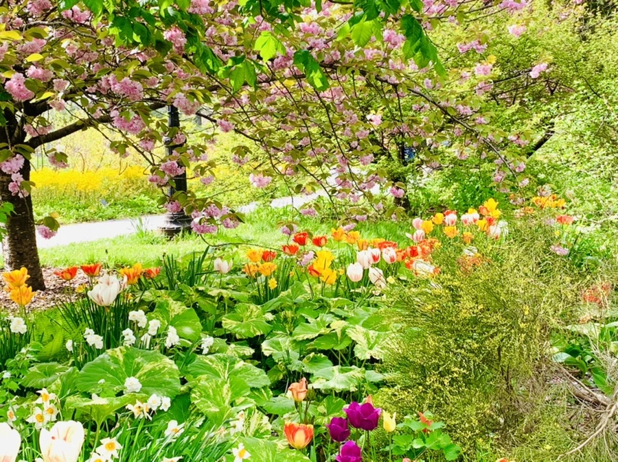 IMG_7022.jpg?type=w966