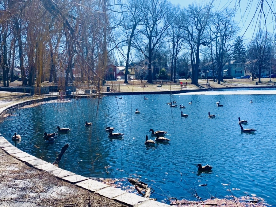 IMG_6849.jpg?type=w966