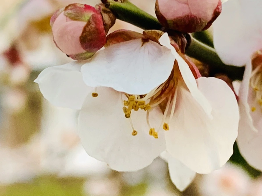 IMG_2812.jpg?type=w966