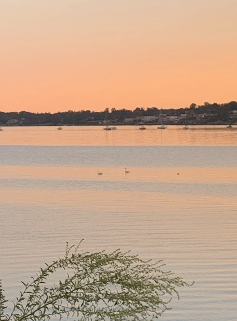 IMG_7517.jpg?type=w966