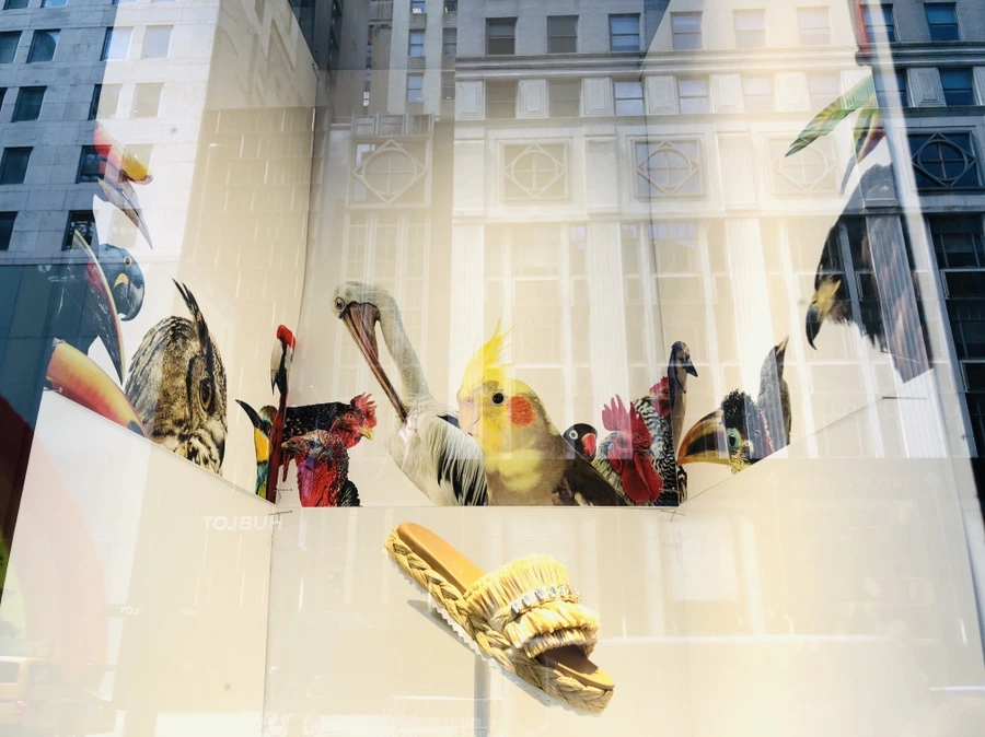 IMG_5753.jpg?type=w966