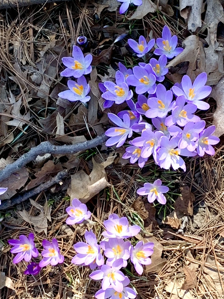 IMG_9730.jpg?type=w966