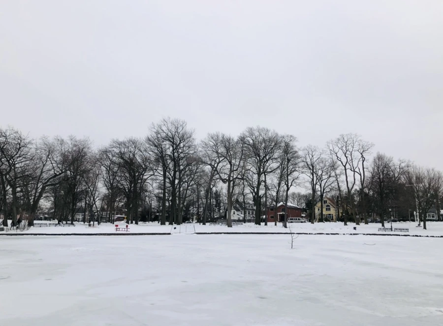 IMG_2739.jpg?type=w966