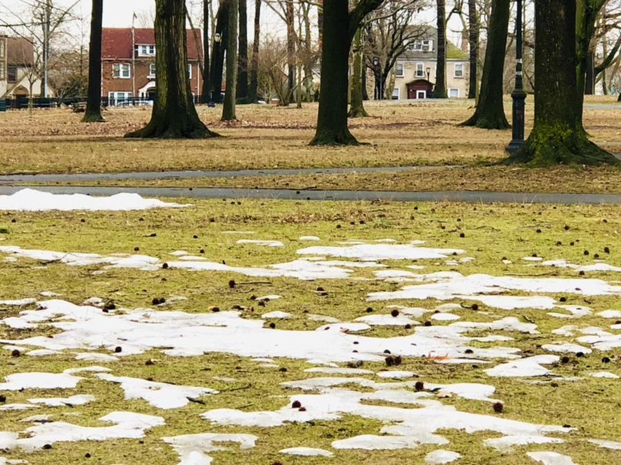 IMG_6311.jpg?type=w966