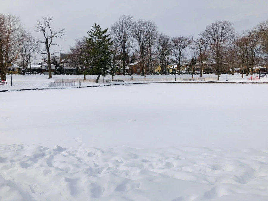 IMG_2156.jpg?type=w966