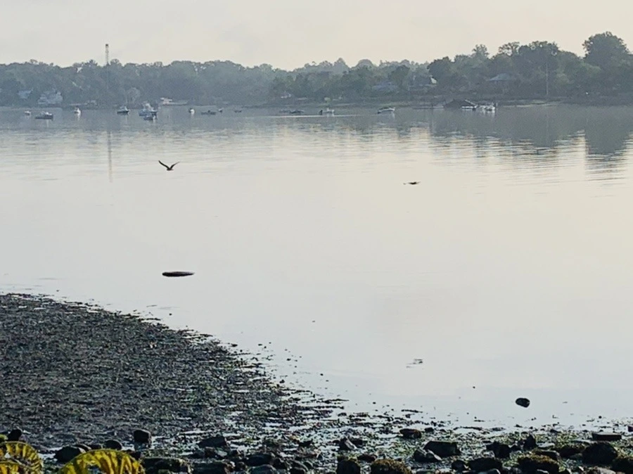 hK9CoDXBcxskVLJvs3_NqL1ZH1Y