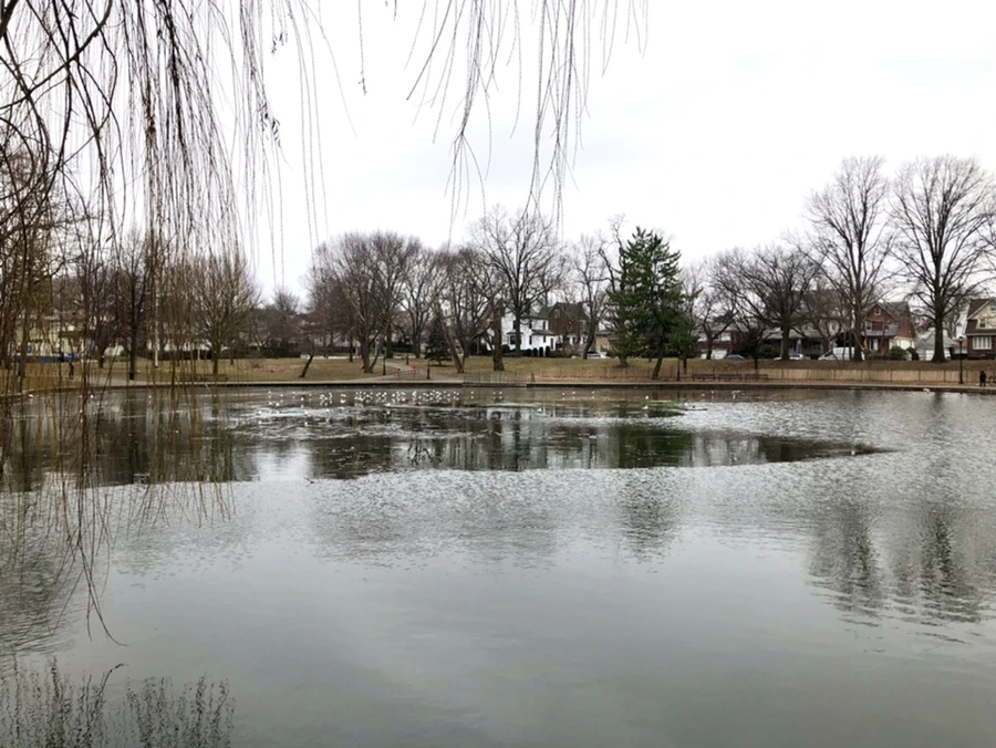 IMG_3210.jpg?type=w966