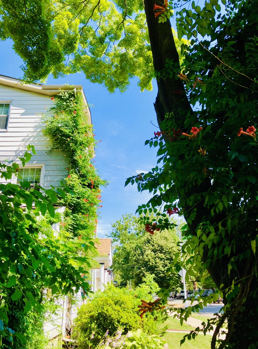 IMG_2550.jpg?type=w966