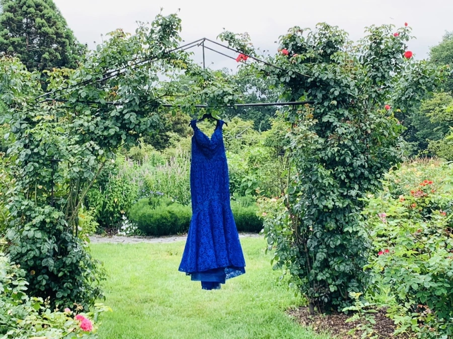 IMG_1108.jpg?type=w966