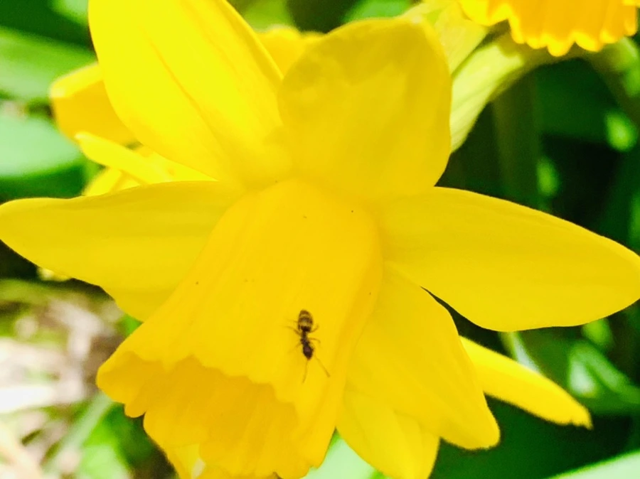 IMG_3389.jpg?type=w966