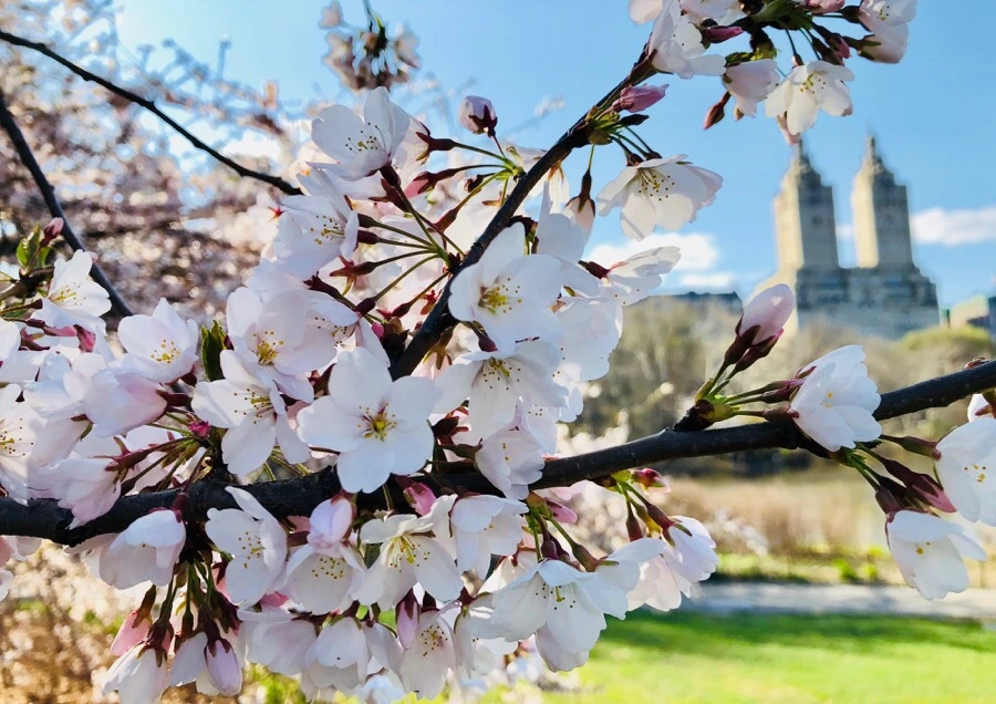 IMG_4524.jpg?type=w966