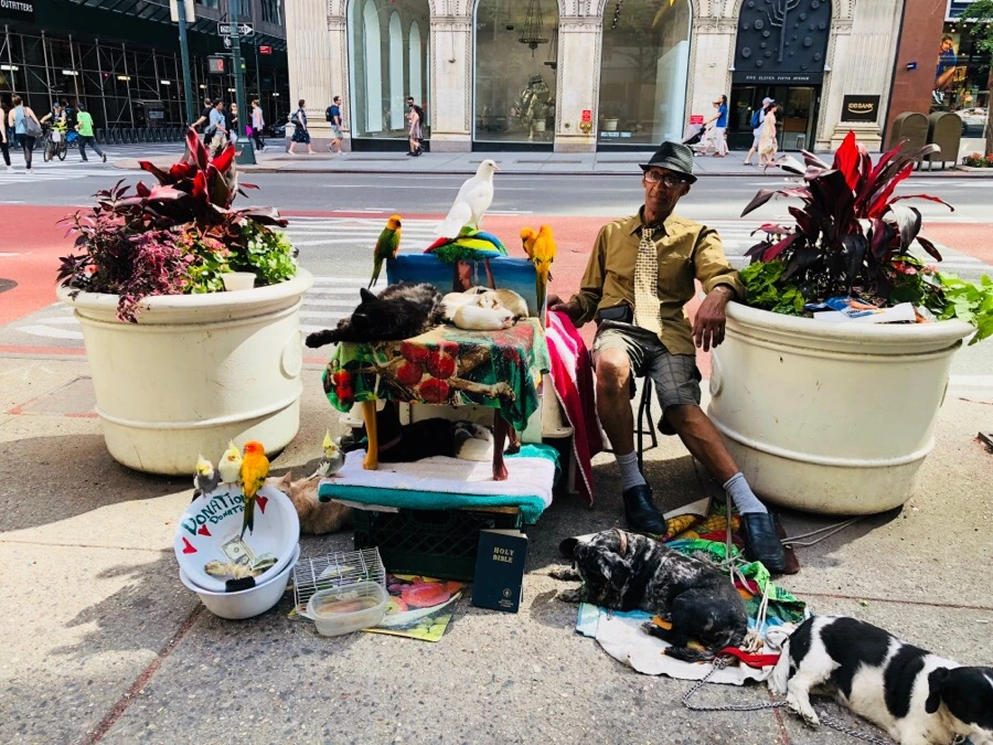 IMG_8092.jpg?type=w966