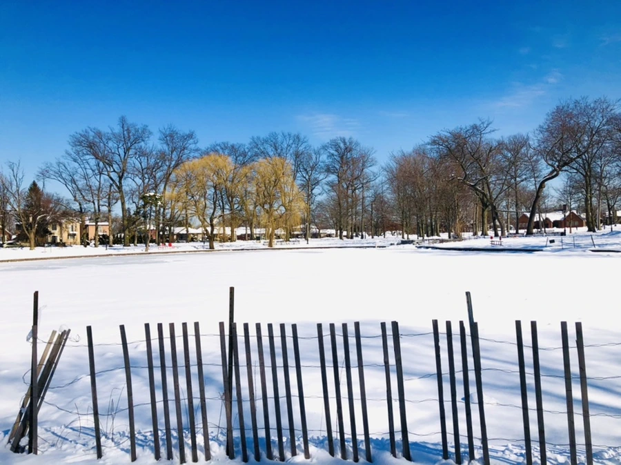 IMG_1352.jpg?type=w966