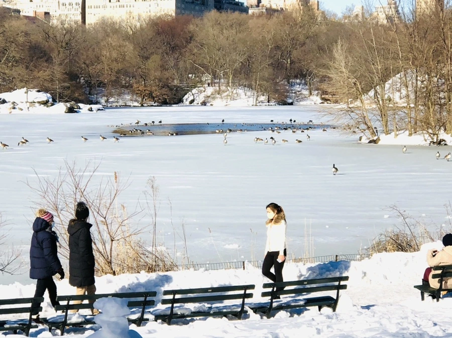 IMG_9813.jpg?type=w966