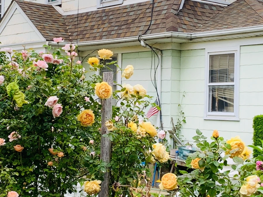 IMG_5983.jpg?type=w966