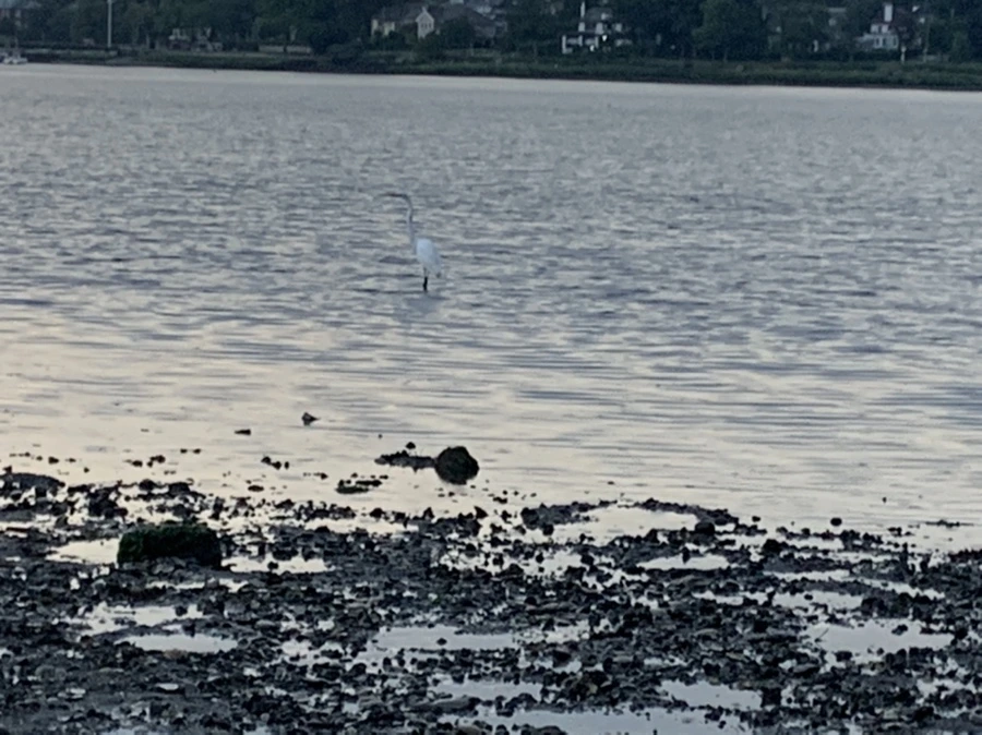 IMG_8170.jpg?type=w966