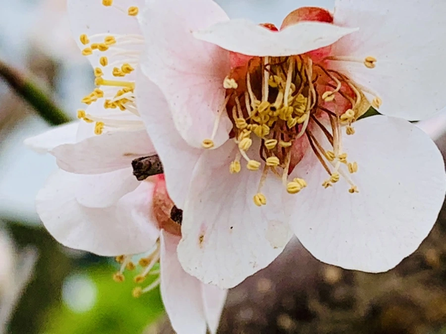 IMG_3572.jpg?type=w966