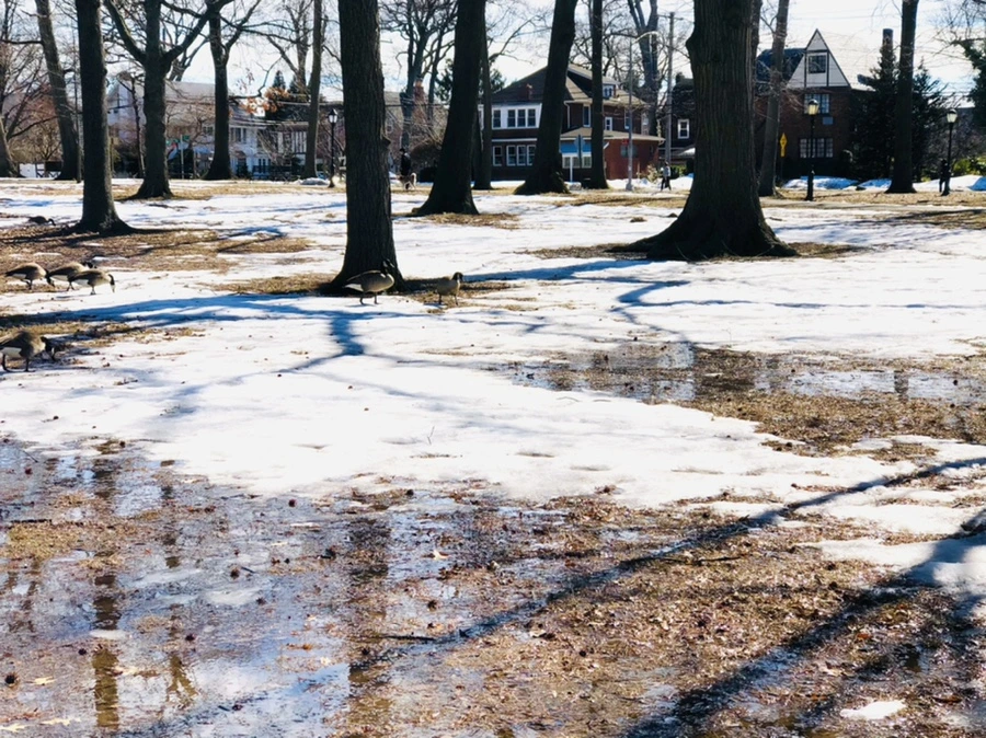 IMG_4633.jpg?type=w966