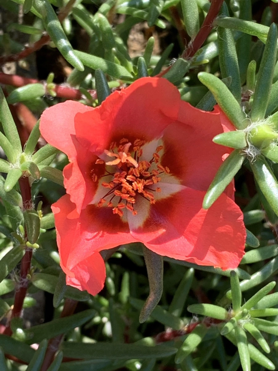 IMG_8380.jpg?type=w966