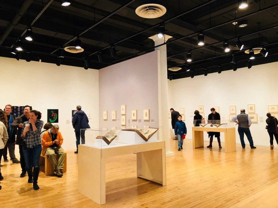 IMG_3324.jpg?type=w966