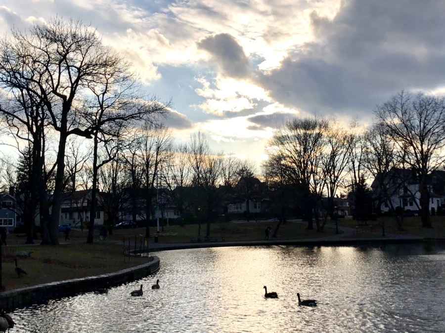 IMG_4407.jpg?type=w966