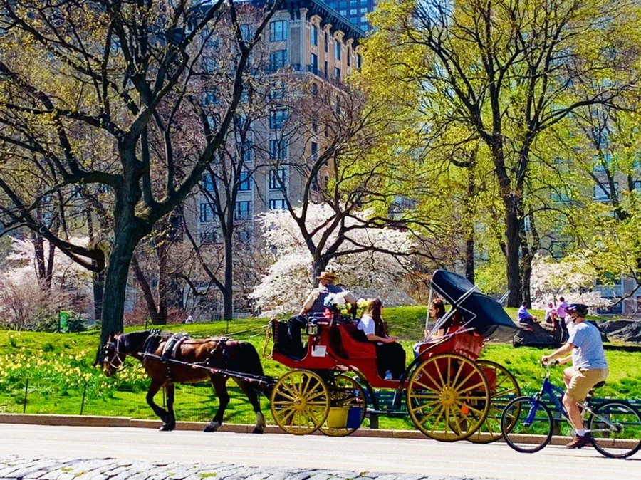 IMG_9013.jpg?type=w966