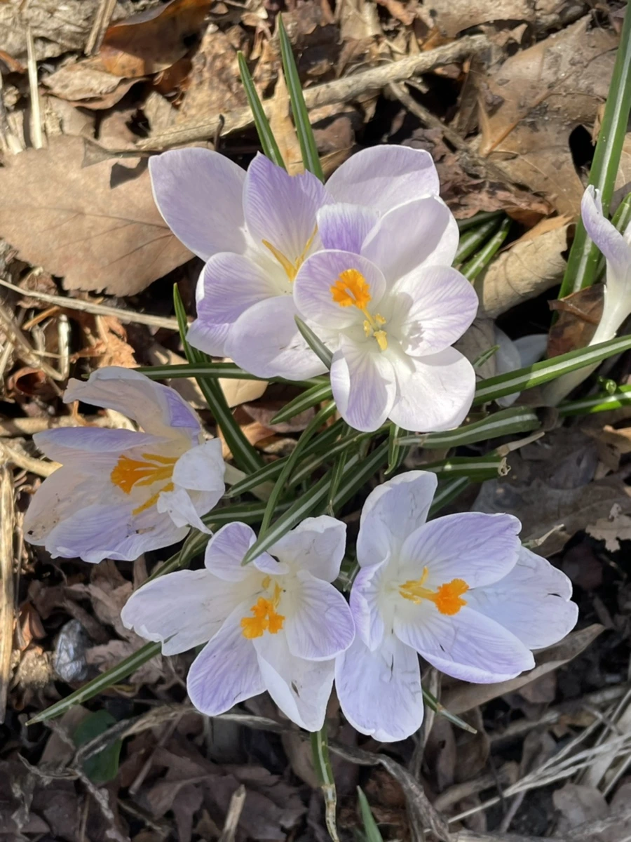 IMG_5874.jpg?type=w966