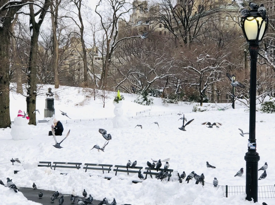 IMG_9131.jpg?type=w966