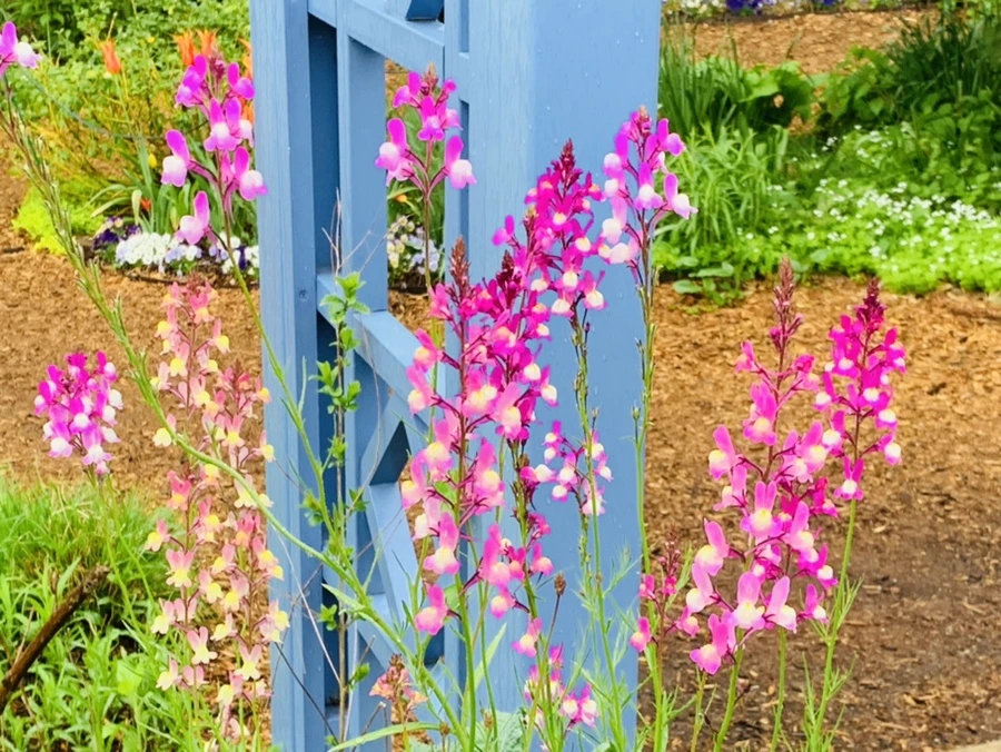 IMG_9833.jpg?type=w966