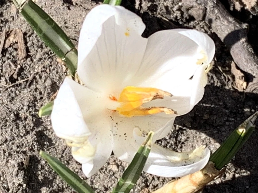 IMG_0733.jpg?type=w966