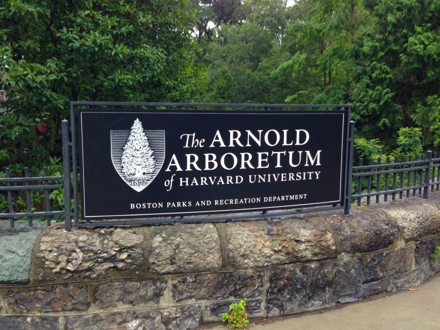 IMG_0725.JPG?type=w1