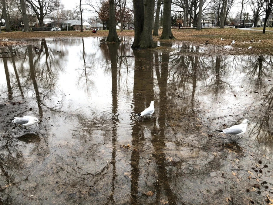 IMG_9475.jpg?type=w966