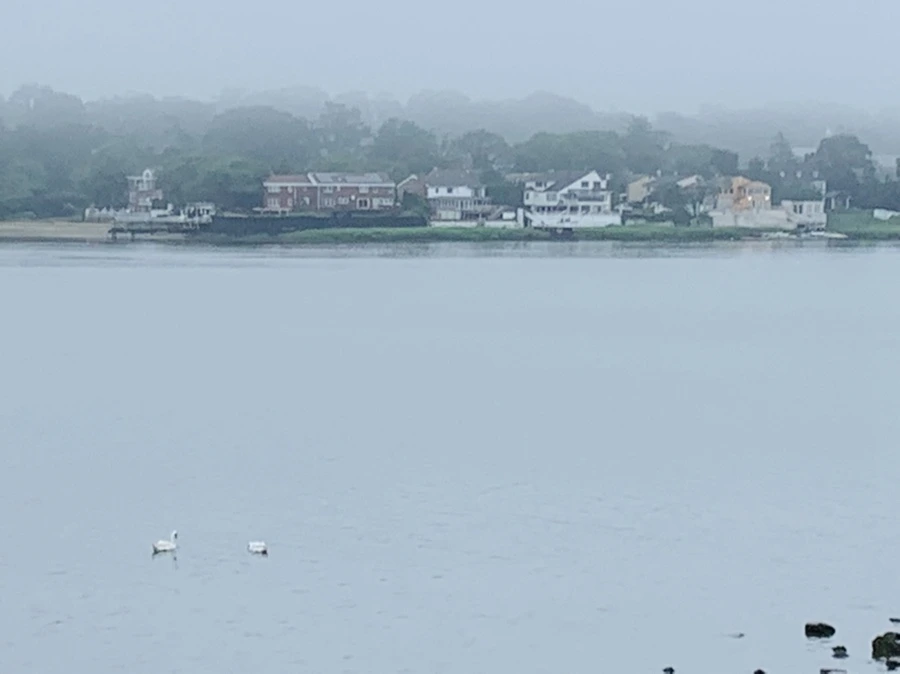 IMG_5236.jpg?type=w966