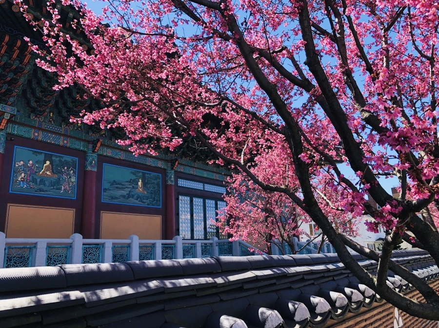 IMG_2160.jpg?type=w966