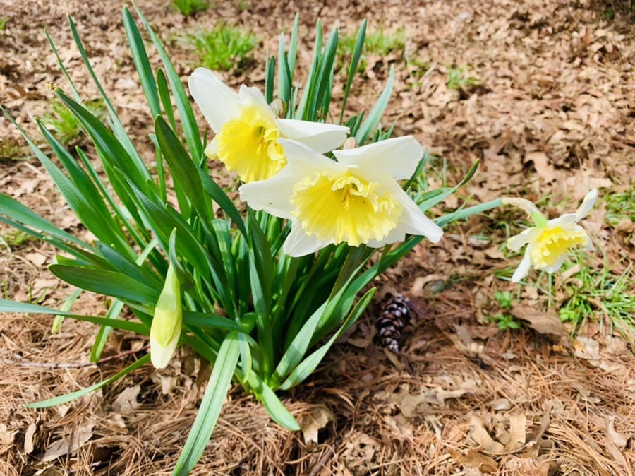 IMG_6349.jpg?type=w966