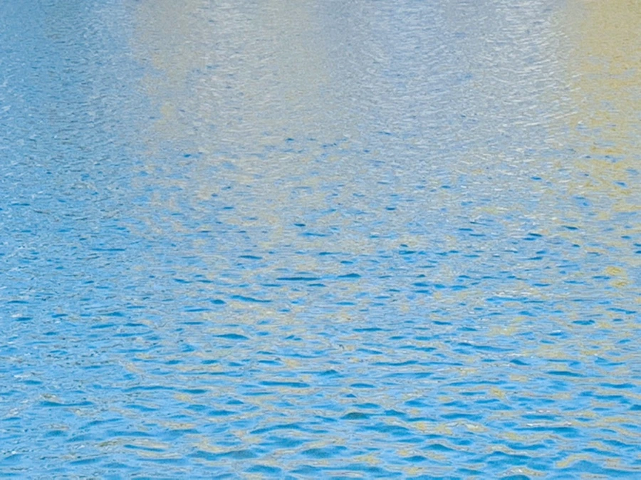 IMG_9895.jpg?type=w966