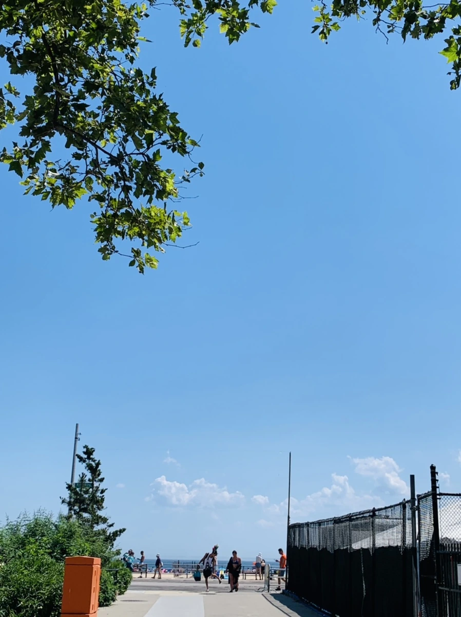 IMG_8786.jpg?type=w966