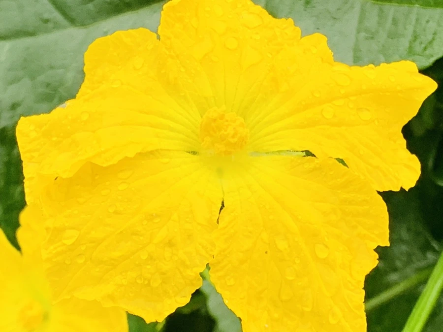 IMG_3692.jpg?type=w966