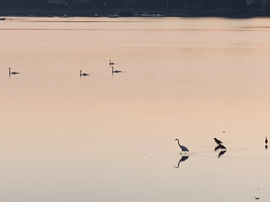 IMG_7147.jpg?type=w966