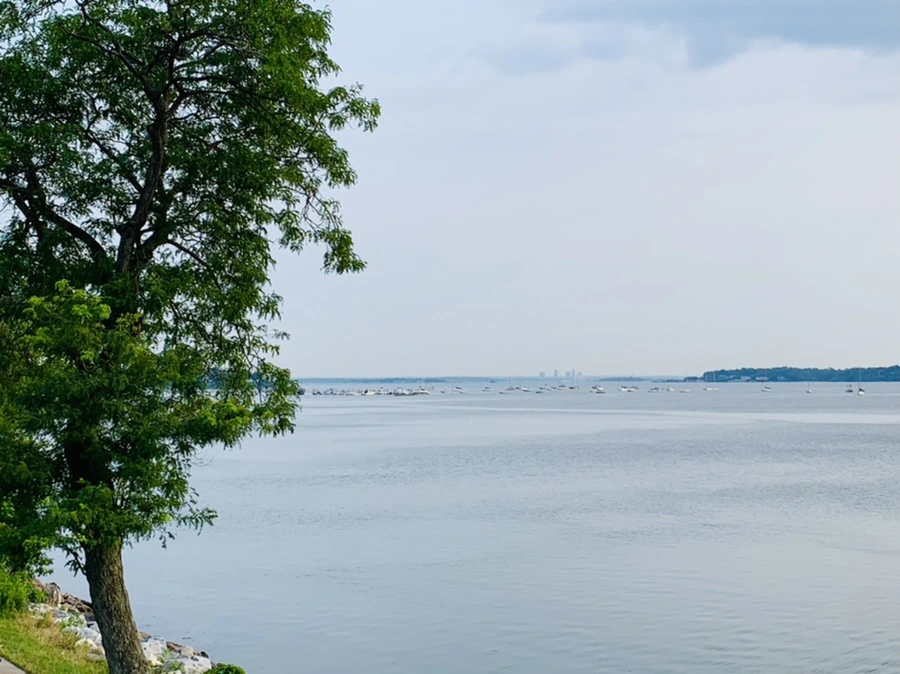 IMG_1570.jpg?type=w966