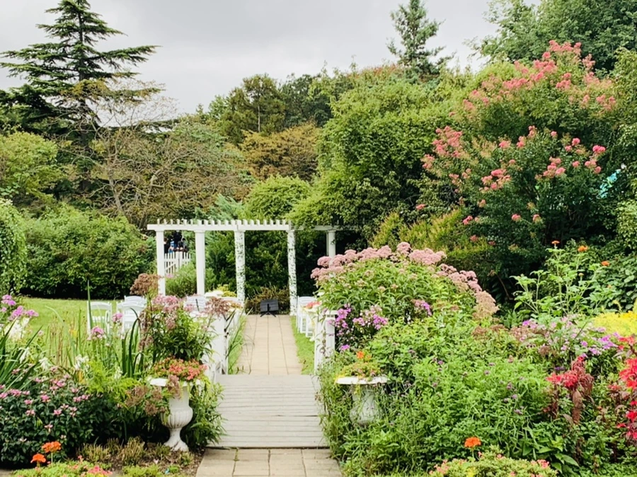 IMG_7964.jpg?type=w966