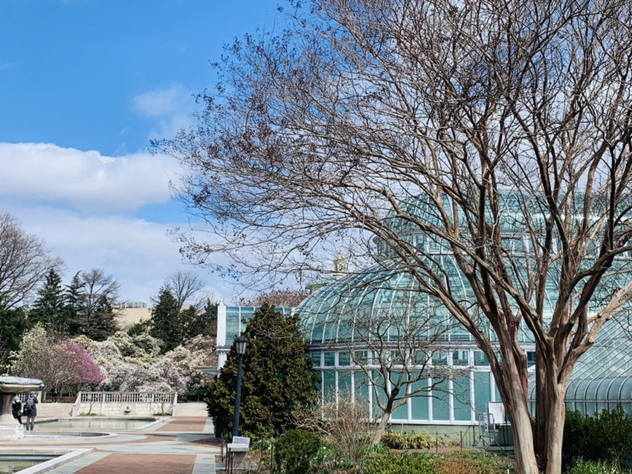 IMG_6544.jpg?type=w966