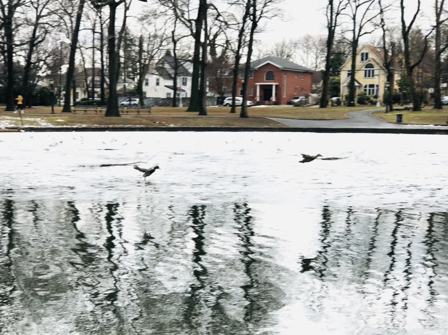 IMG_6461.jpg?type=w966